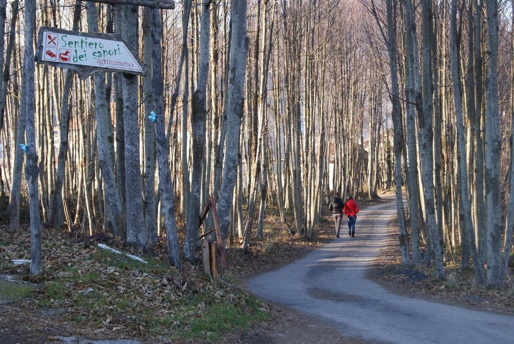 Гостевой дом Agriturismo Sentiero Dei Sapori Аджерола Экстерьер фото